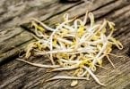 How to Grow Bean Sprout at Home