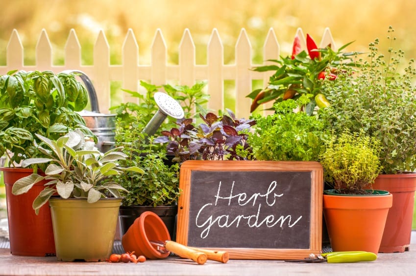 How to Make a Kitchen Herb Garden