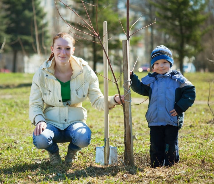 How to ‘Go Green’ in the Garden