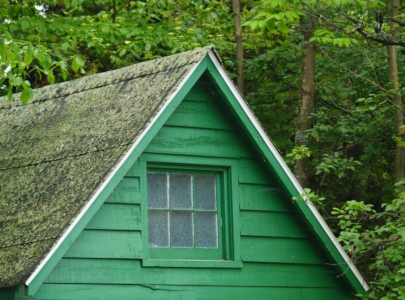 Stained Roof