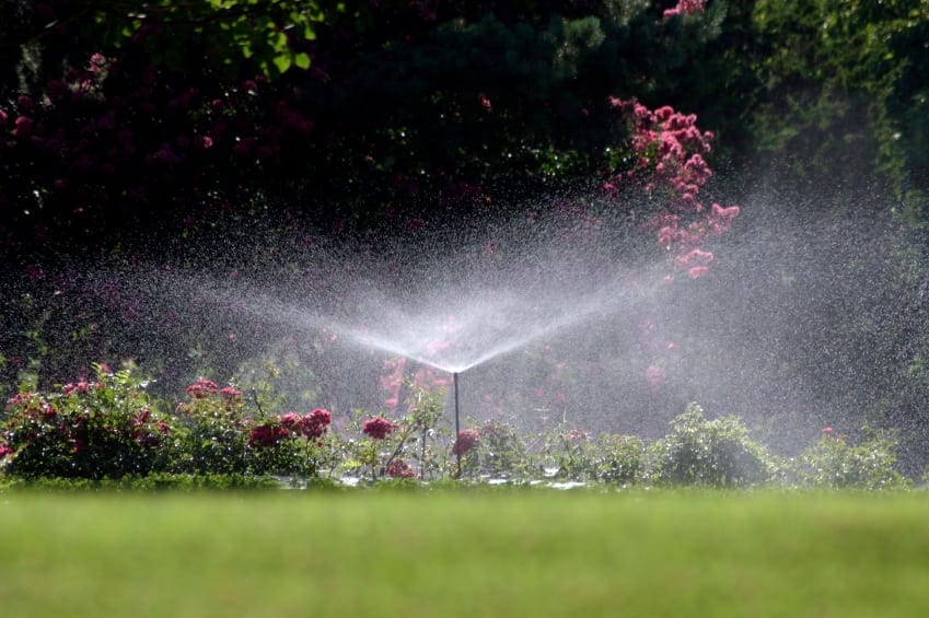 4 Tips for Watering Lawn in Summer