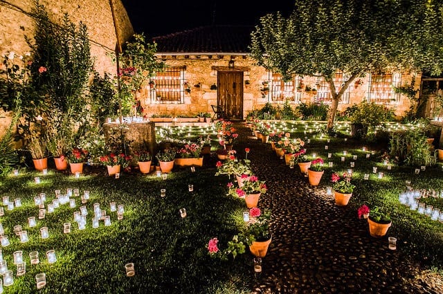 Garden Lighting: What Is Highlighting And How To Use It 