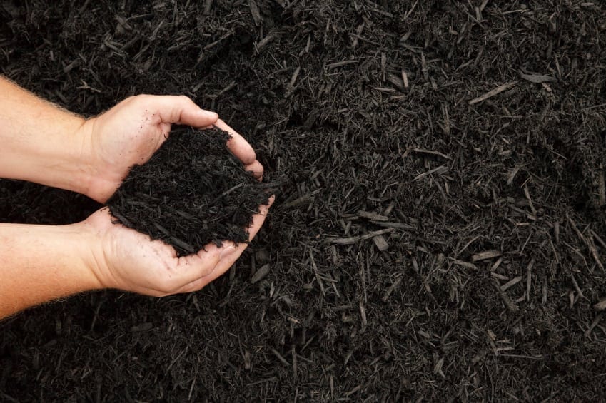 DIY: Make Your Own Compost for Your Garden