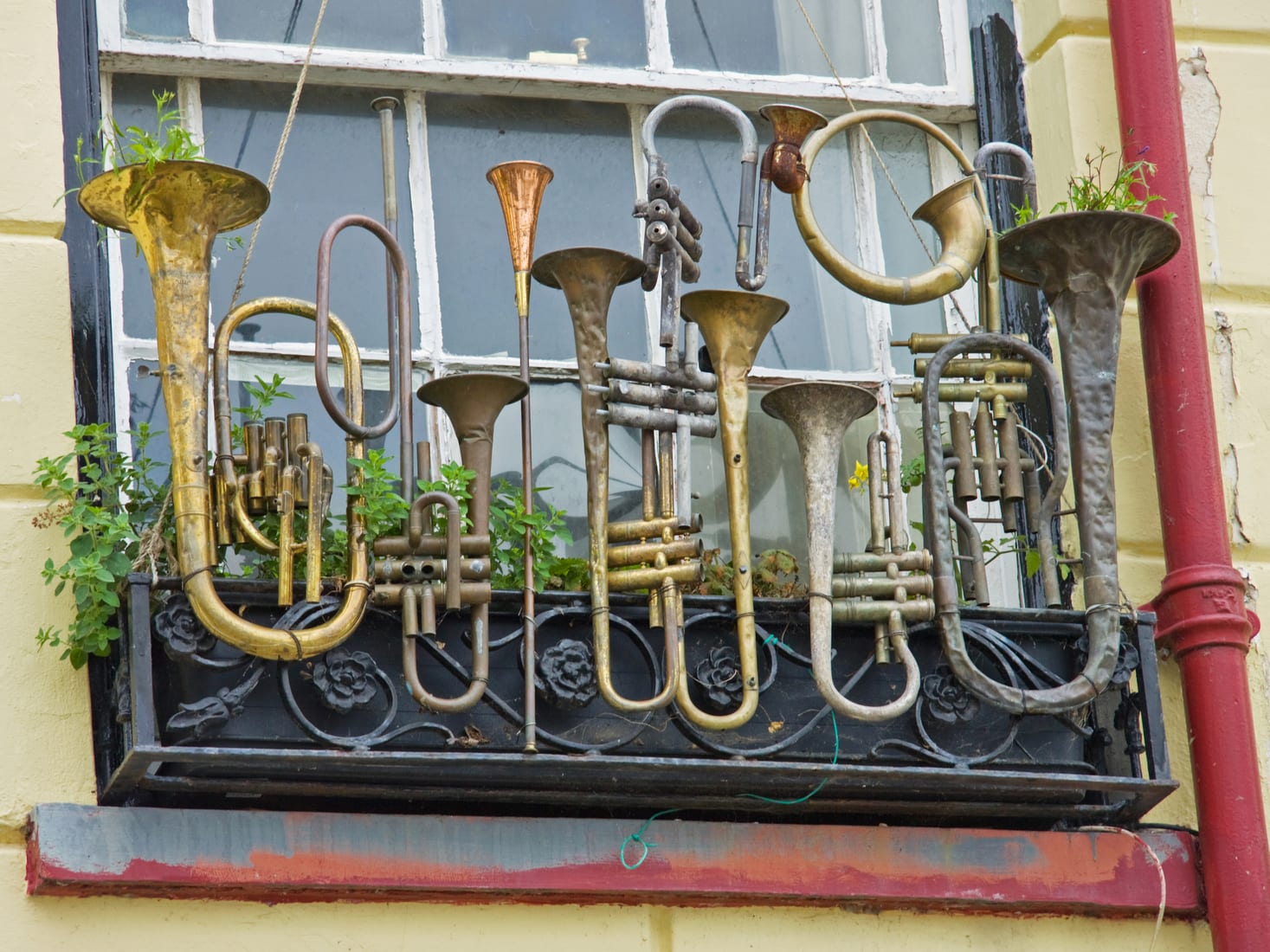 Easy To Make DIY Instrument Planters