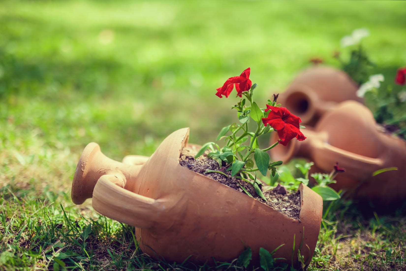 5 Incredible Ideas For Recycling Broken Pots In Your Garden